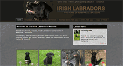 Desktop Screenshot of irishworkinglabradors.com