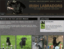 Tablet Screenshot of irishworkinglabradors.com